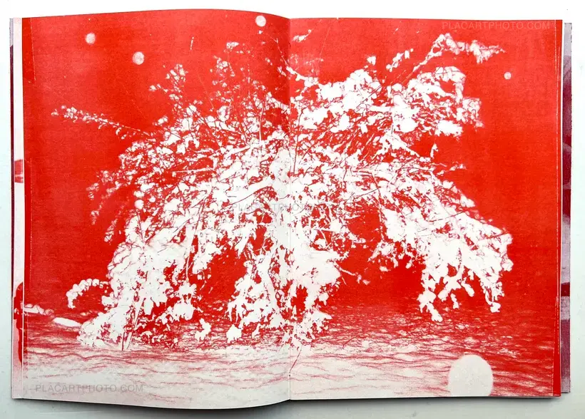 RED (Red version) (Signed)