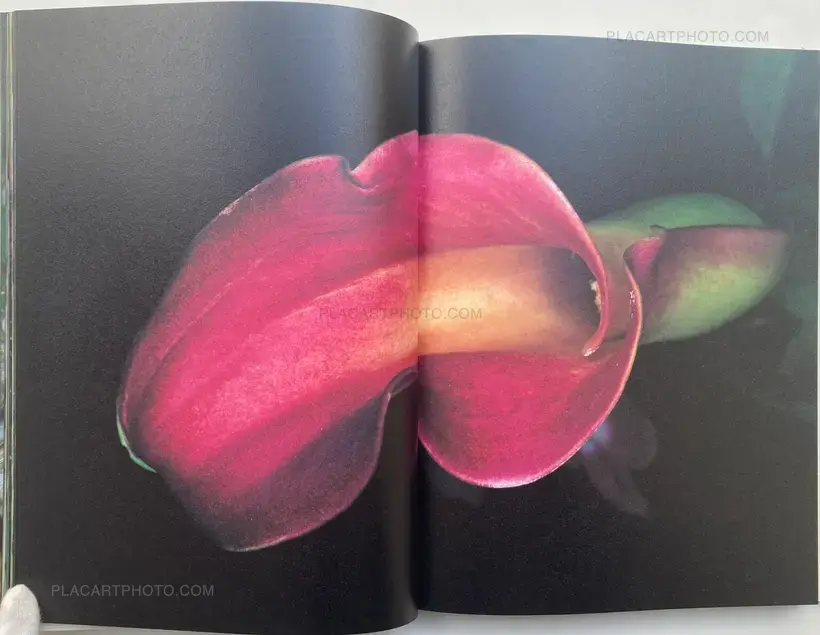 Kakyoku (Flower Rondo) (WITH OBI)