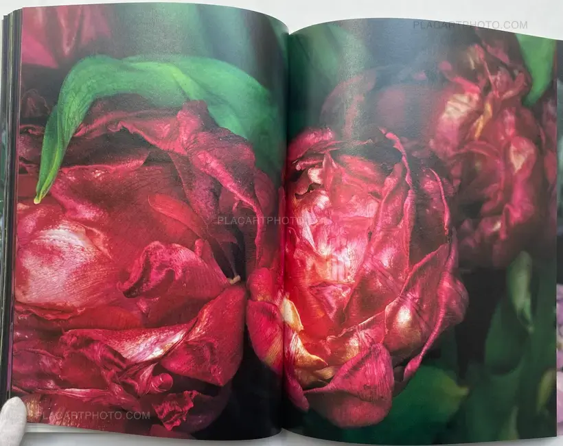 Kakyoku (Flower Rondo) (WITH OBI)