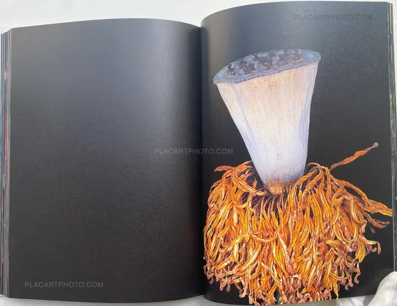 Kakyoku (Flower Rondo) (WITH OBI)