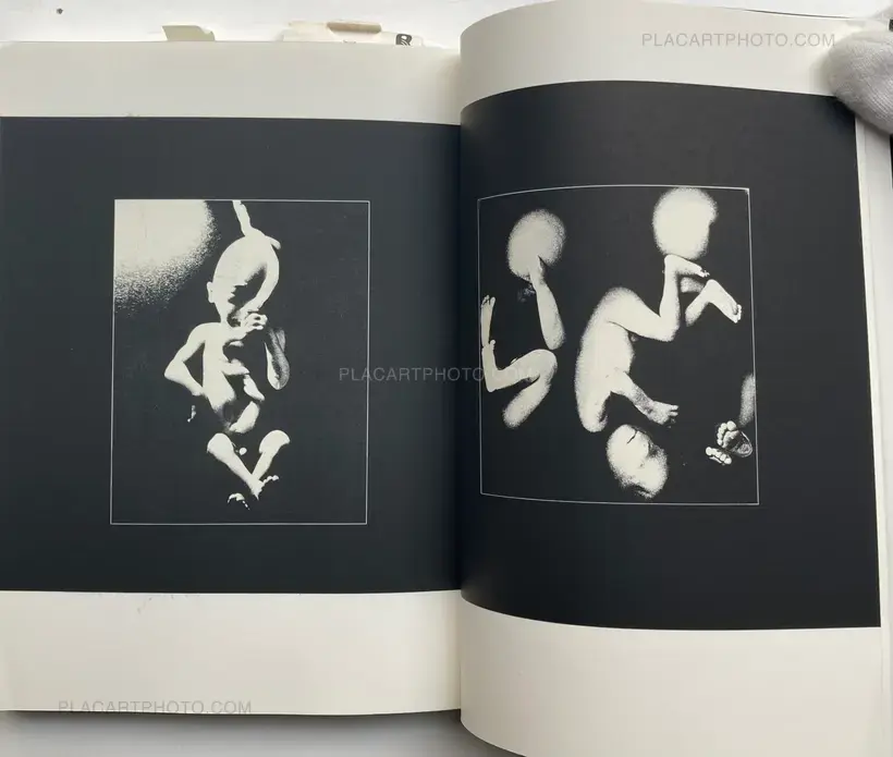 Japan: a Photo Theater, Revised Edition (SIGNED)