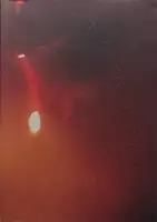 They called me Yukari