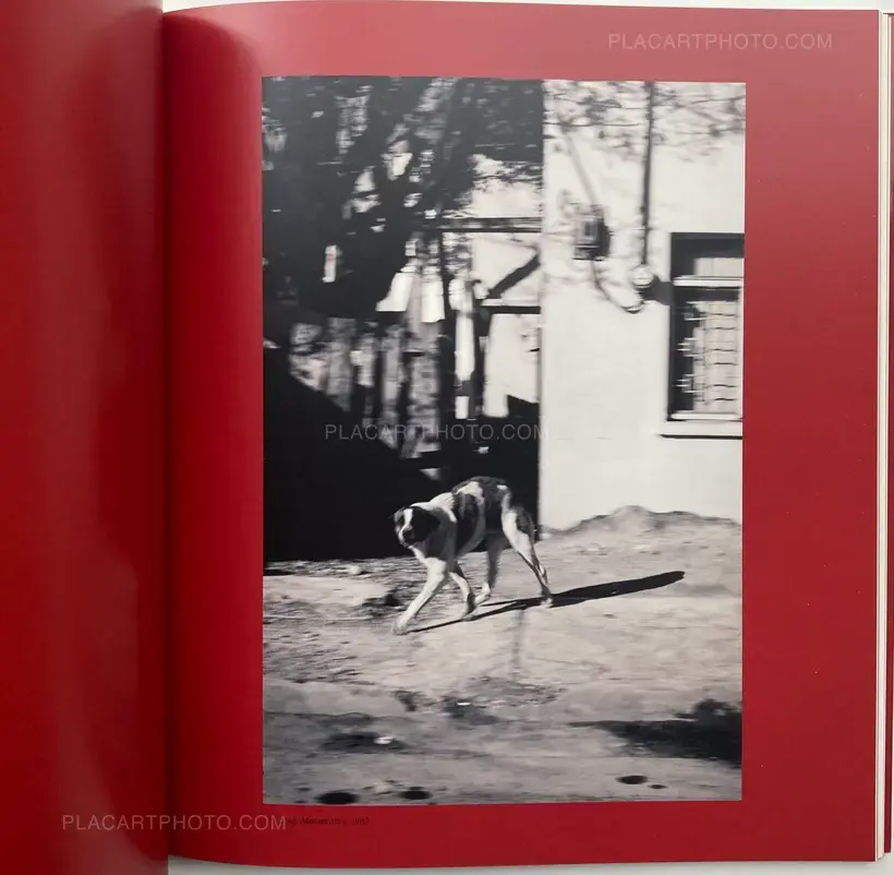 Boystown, The Perfume of Desire (INSCRIBED COPY)