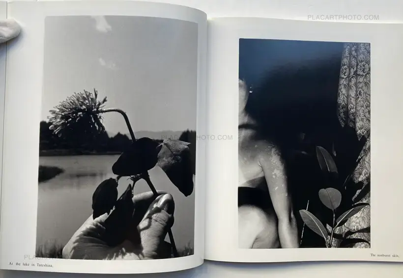 Dark Light (SIGNED, WITH OBI)