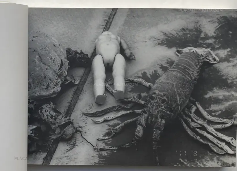 Last August (SIGNED)