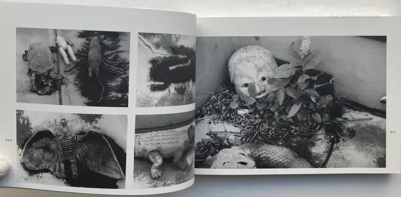 Last August (SIGNED)