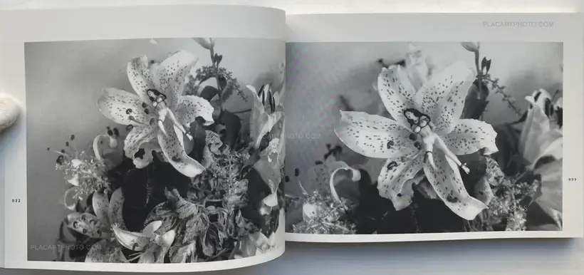 Last August (SIGNED)