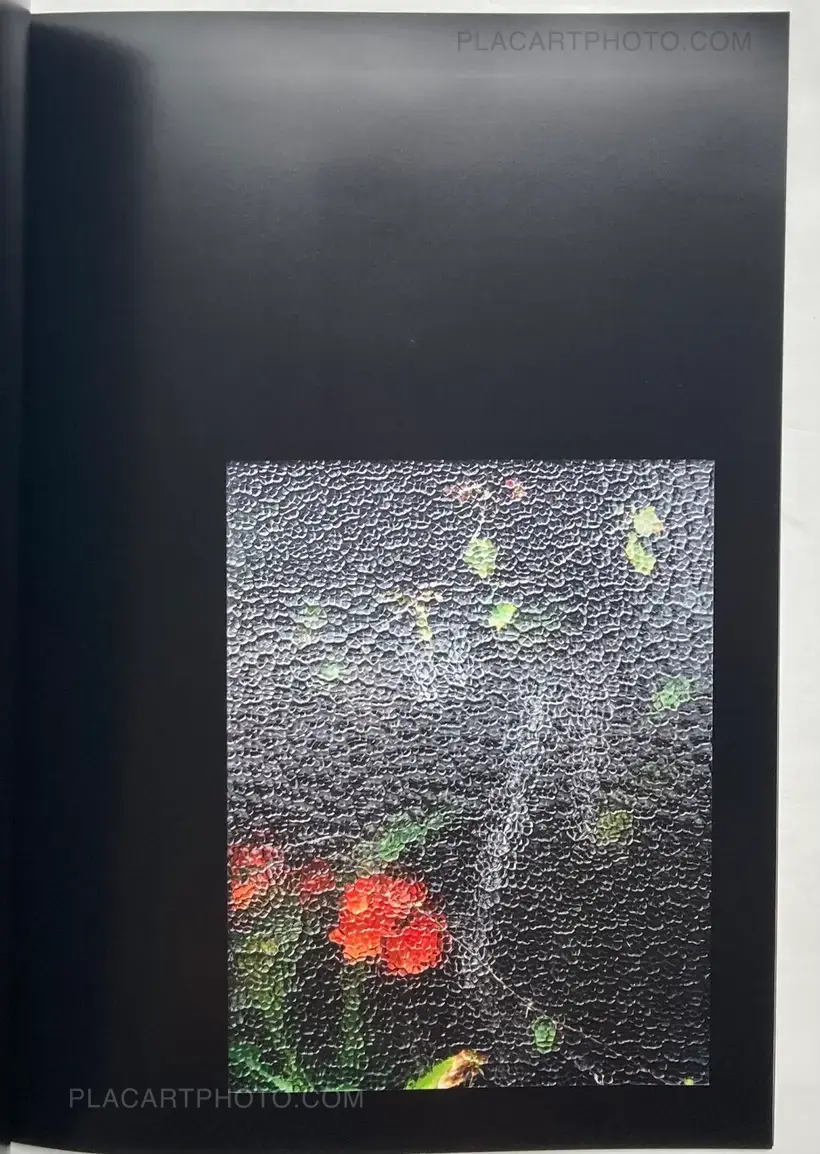 OPTICAL TACTILITY / WINDOWS (LTD EDT)