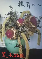 higan nite (on the other side)