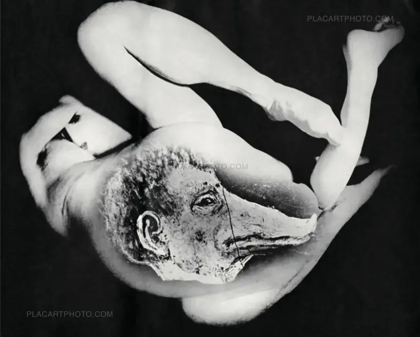 SPECIAL OFFER : YOKO + HOMO LUDENS (PRE-ORDER)