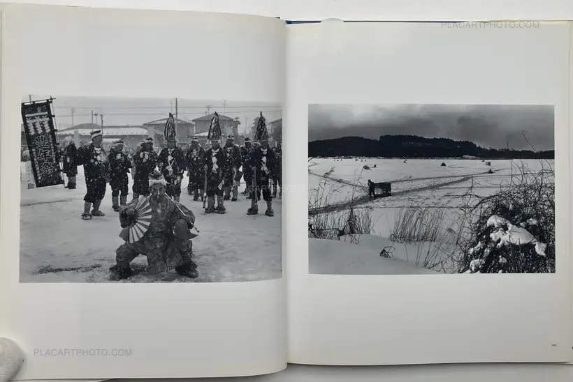 The Remaining Flower