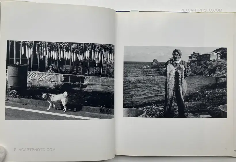 The Remaining Flower