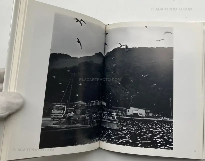 The Remaining Flower