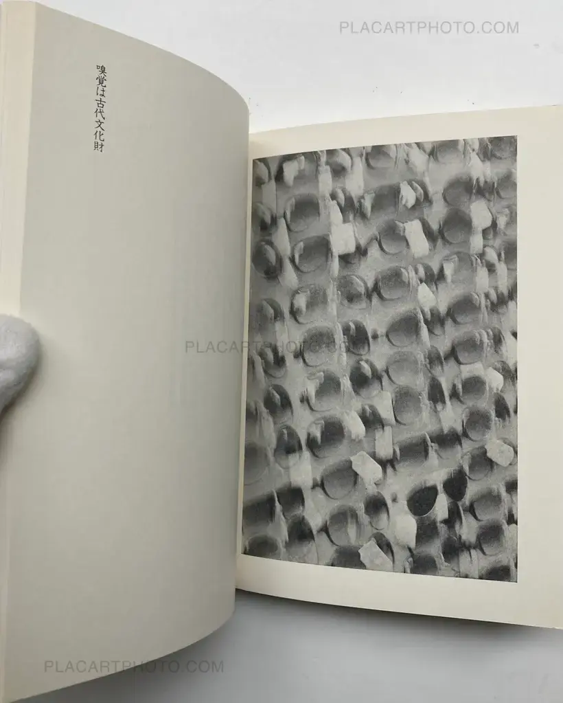 Toshi Ha Yume Mizu (City Doesn't Dream)