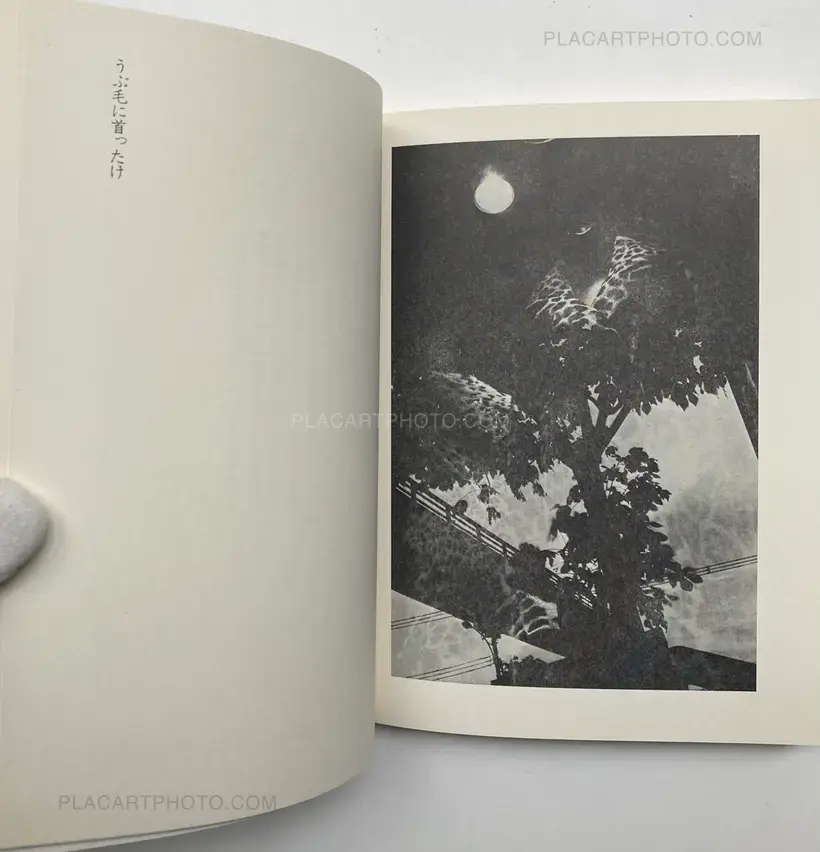 Toshi Ha Yume Mizu (City Doesn't Dream)