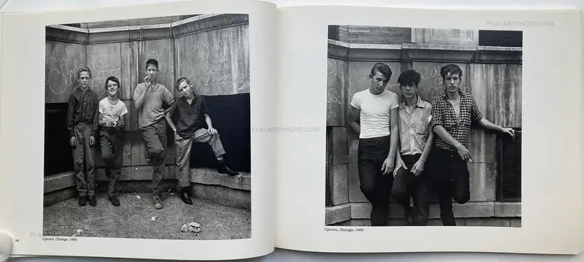 Pictures from the New World