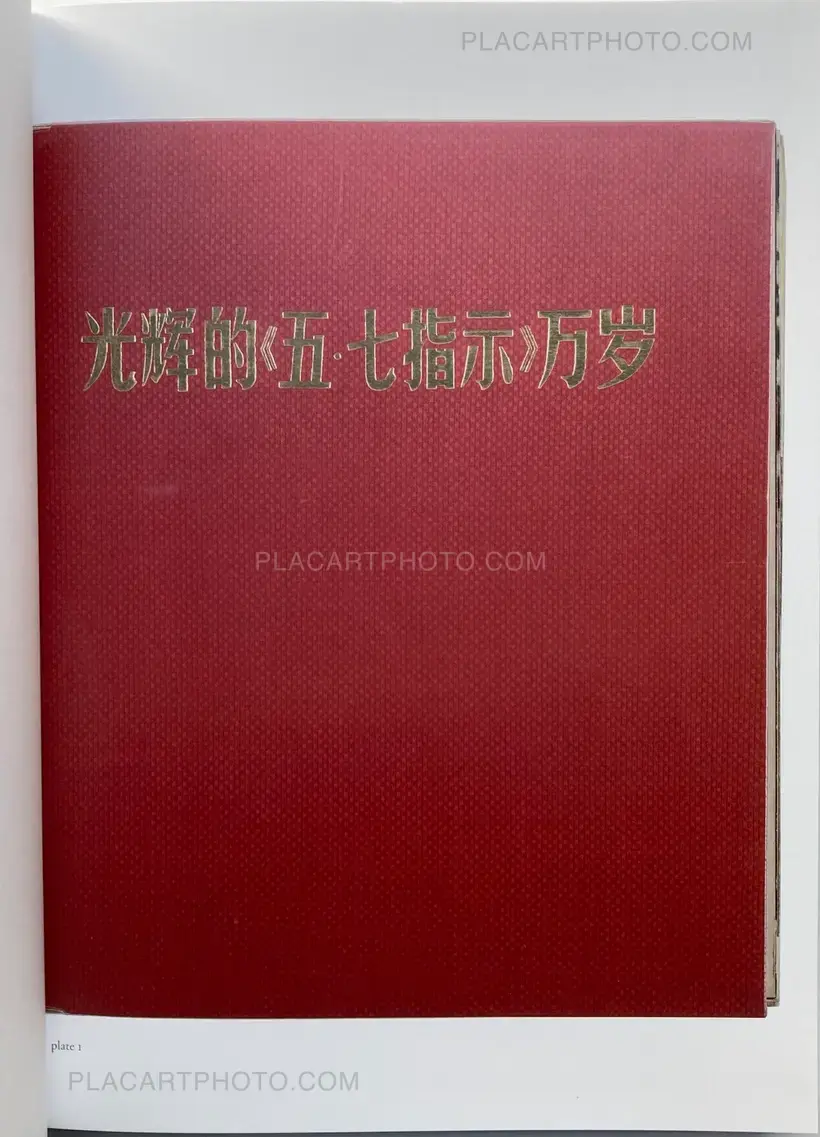 Long Live the Glorious May Seventh Directive