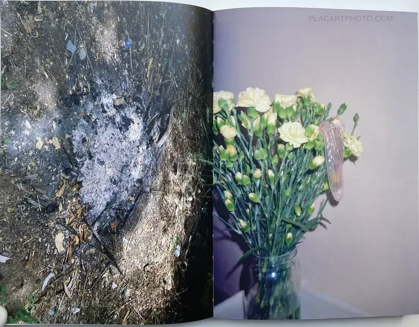 No. 223 (Red version)