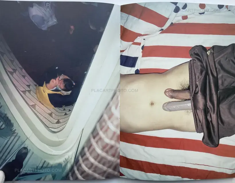 No. 223 (Red version)