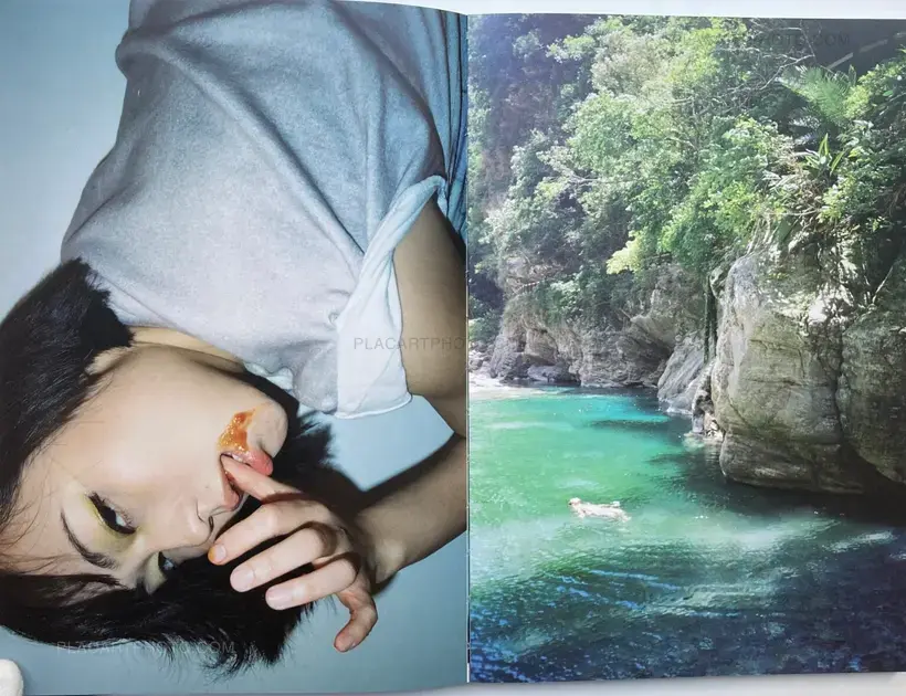 No. 223 (Red version)