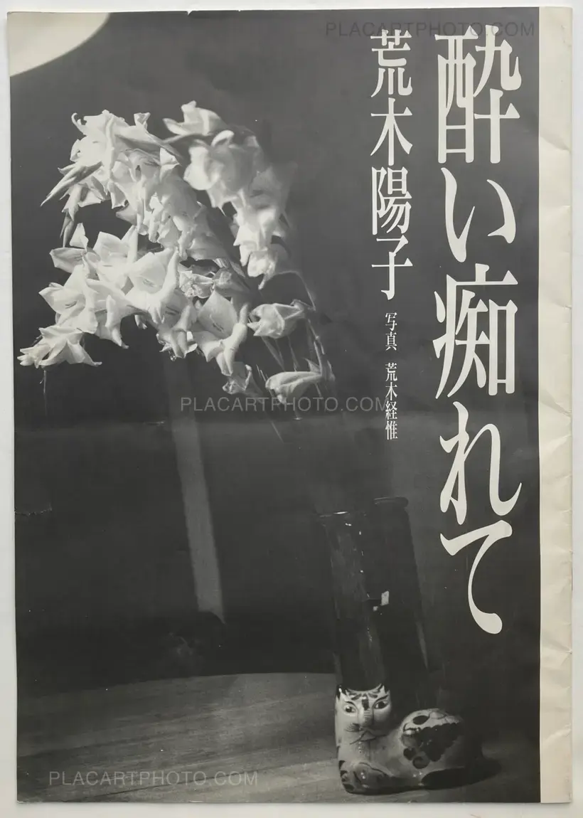 Yoishirete (In Rapture)