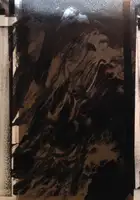 Inversion / New York edition (Signed)