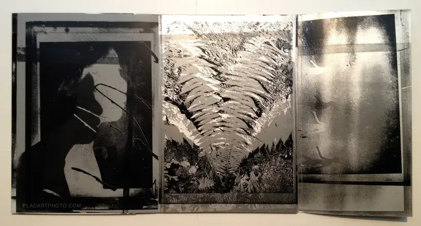 Inversion / New York edition (Signed)