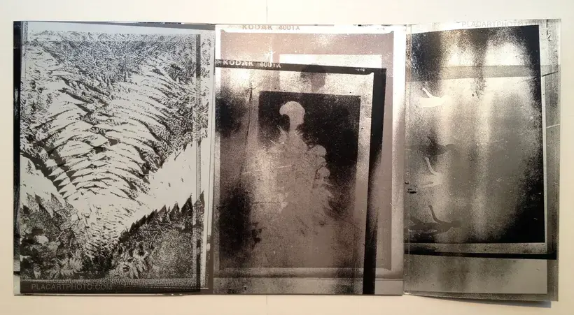 Inversion / New York edition (Signed)