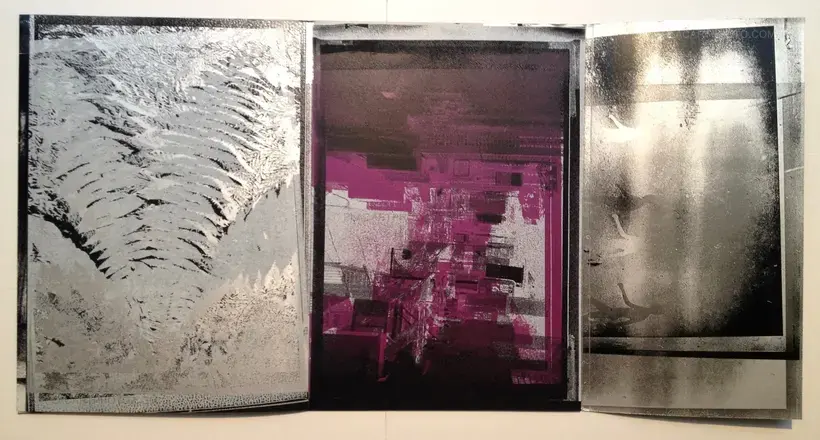 Inversion / New York edition (Signed)