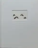 Just like you, but different (signed and numbered)