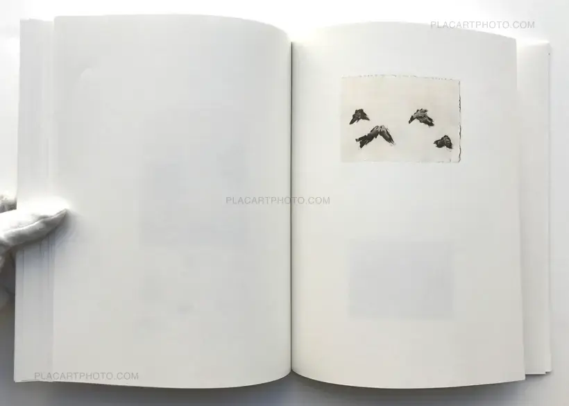 Just like you, but different (signed and numbered)