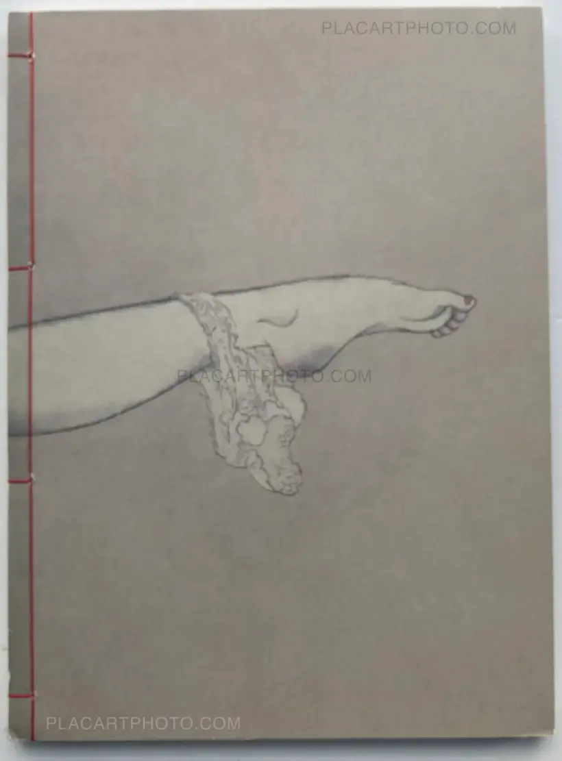 Kishinzoushi Saigonokisei