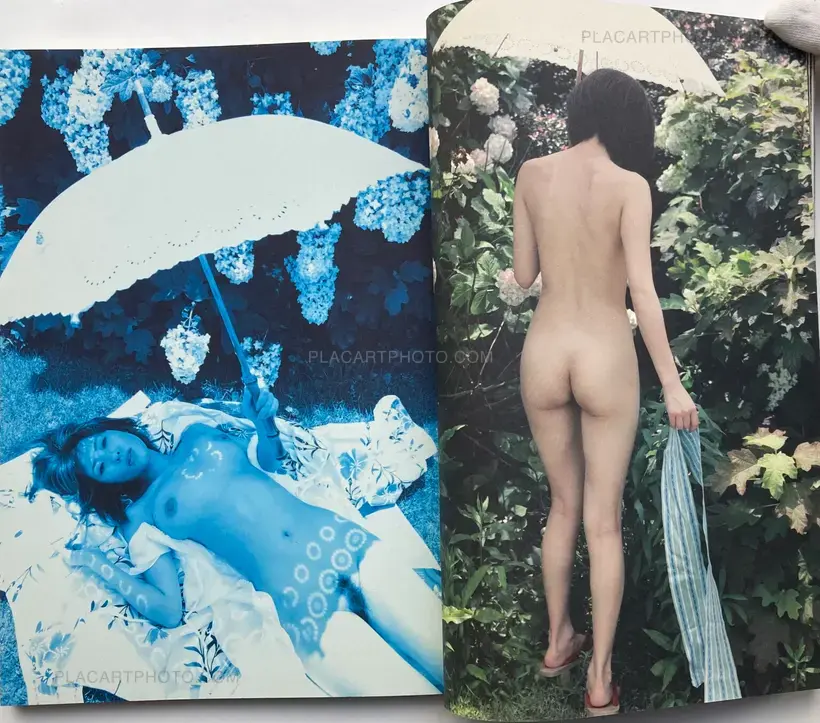 Kishinzoushi Saigonokisei