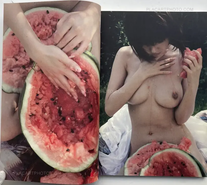 Kishinzoushi Saigonokisei