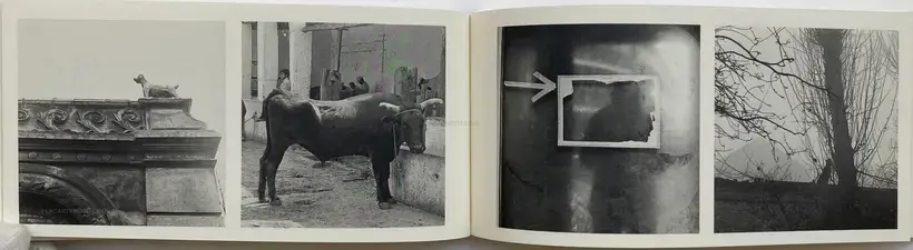 AUKE DE VRIE'S FOTOS (SIGNED AND NUMBERED, LTD EDT)