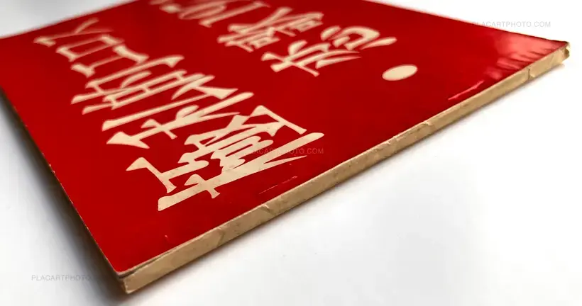 Gokushiteki Erosu, Koiuta 1974 / Extreme Private Eros: Love Song 1974