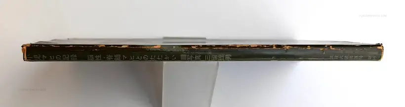 Document : Shonimahi no kiroku / Document : Record of Infantile paralysis