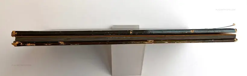 Document : Shonimahi no kiroku / Document : Record of Infantile paralysis