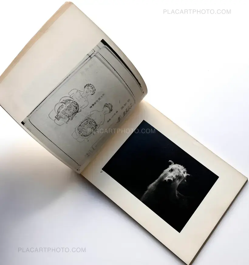 Osaki Yasutoshi shashincho 3 : Miminari / Yasutoshi Osaki Photo album 3 : Tinnitus