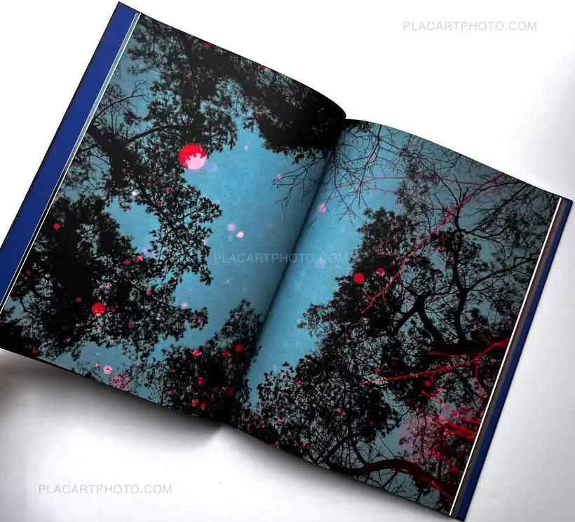 DRIFTING STONES (SIGNED)