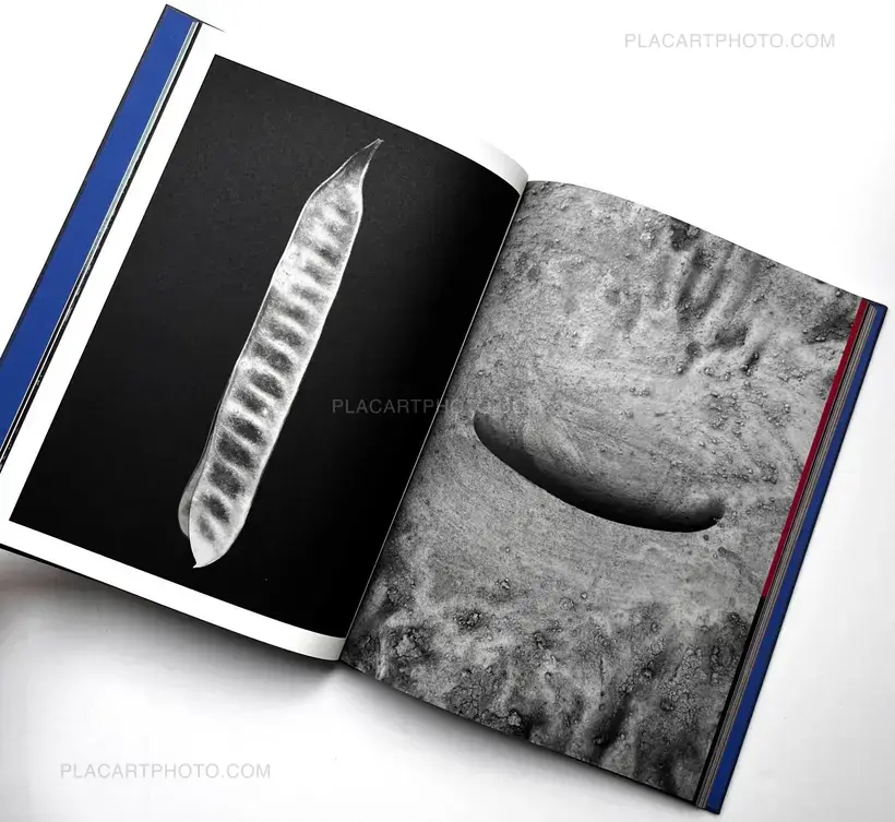 DRIFTING STONES (SIGNED)