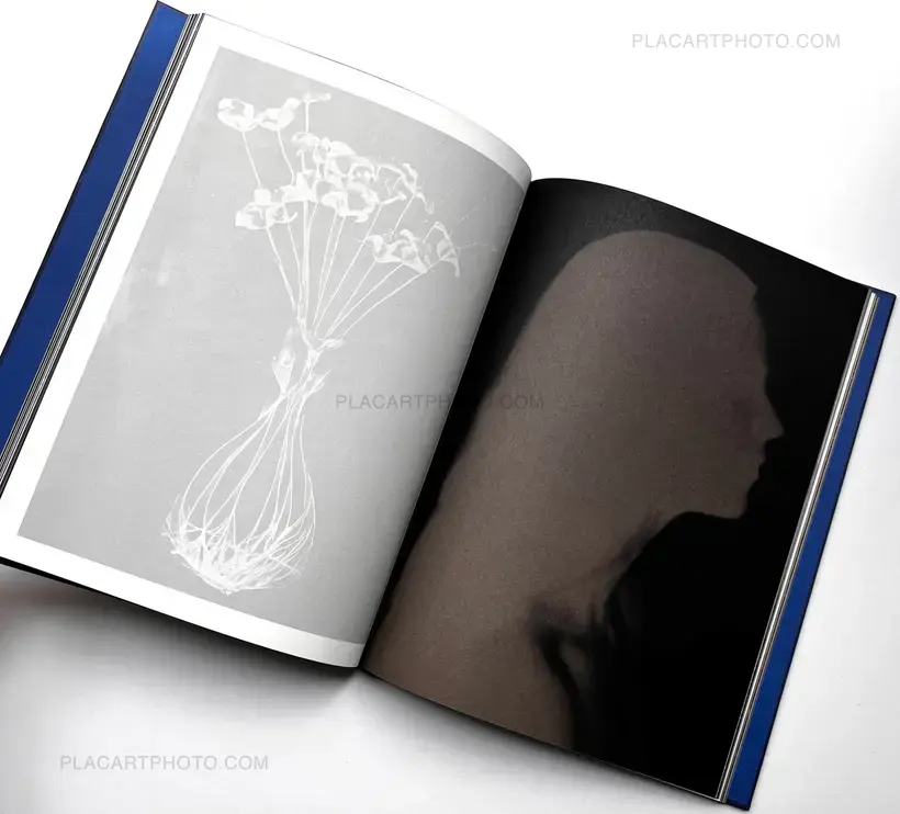 DRIFTING STONES (SIGNED)