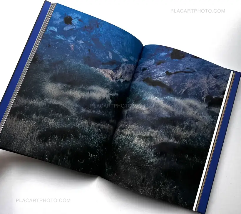 DRIFTING STONES (SIGNED)