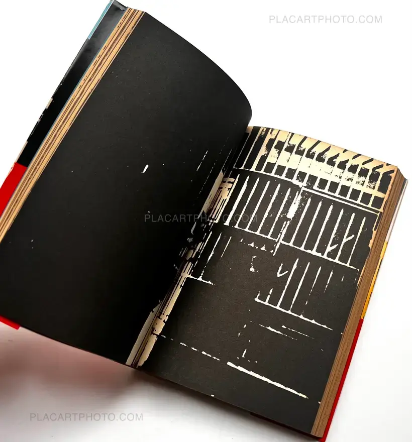 Terror in New York (with obi)