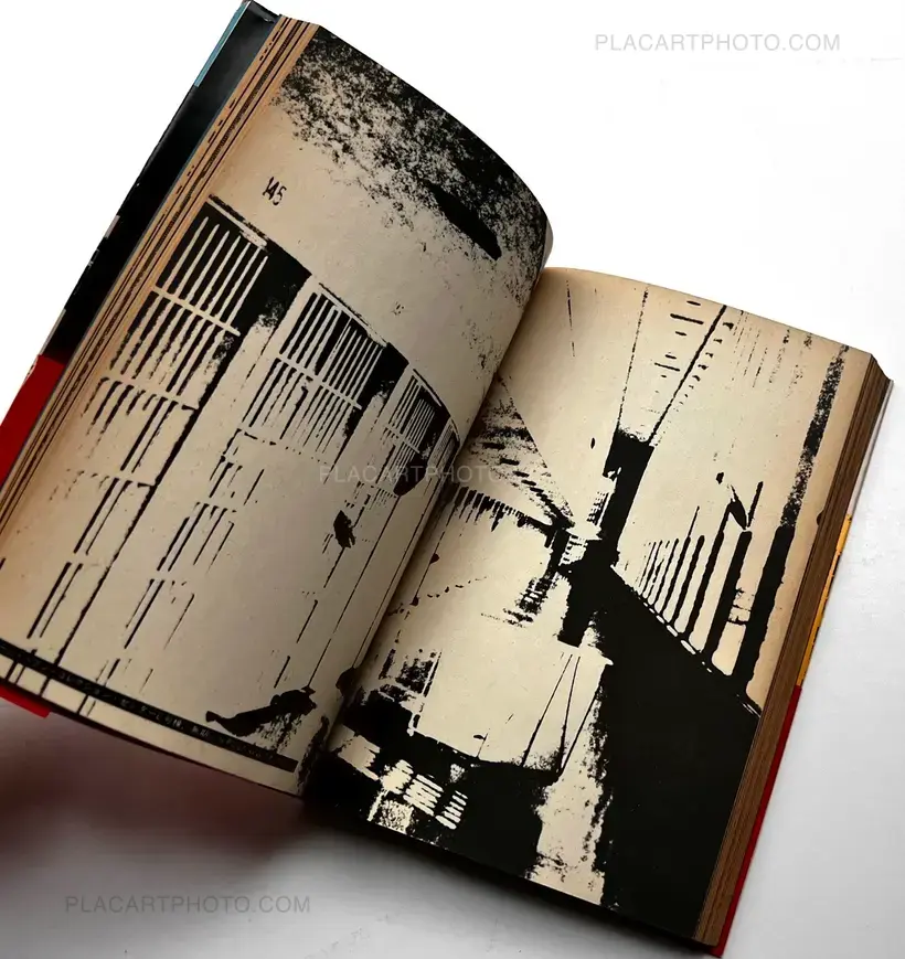 Terror in New York (with obi)