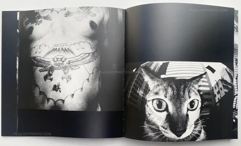 ROAD IS NARROW AND LITTLE MOIST (SIGNED)