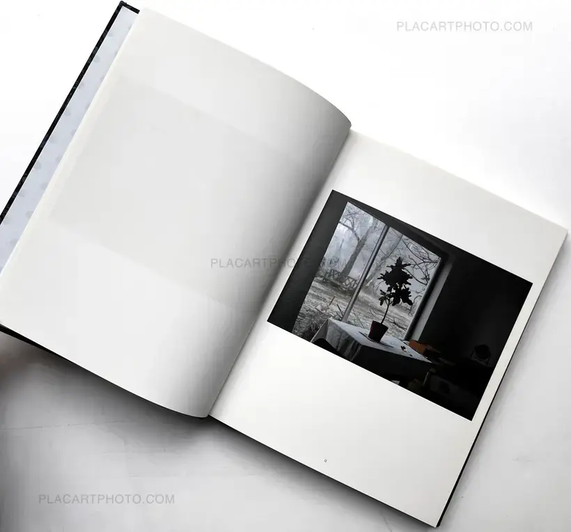 In the Shadow of Things (Signed)