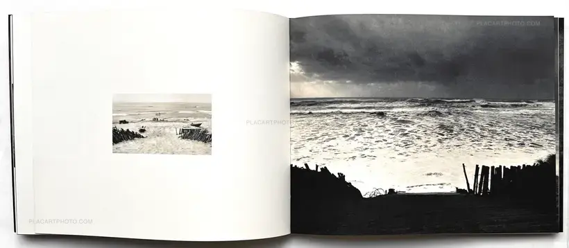 Blue Tide / Maré Azul