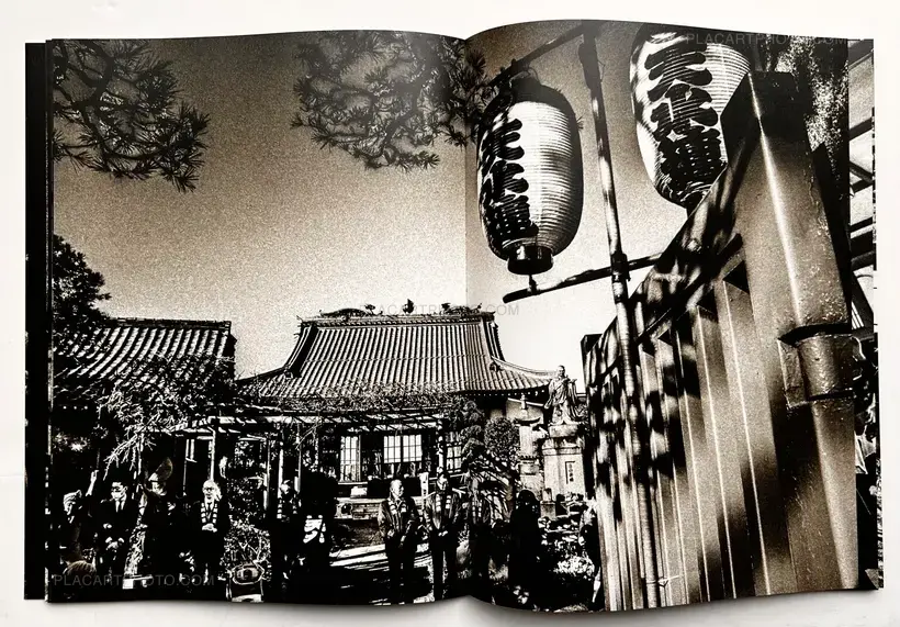 Zomeki - The Spirit of Awa Dance (Signed)