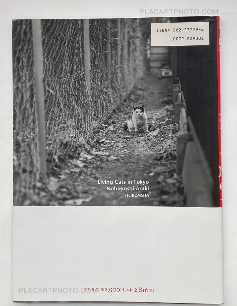 Tokyo Neko Machi (Living Cats in Tokyo) (WITH OBI)